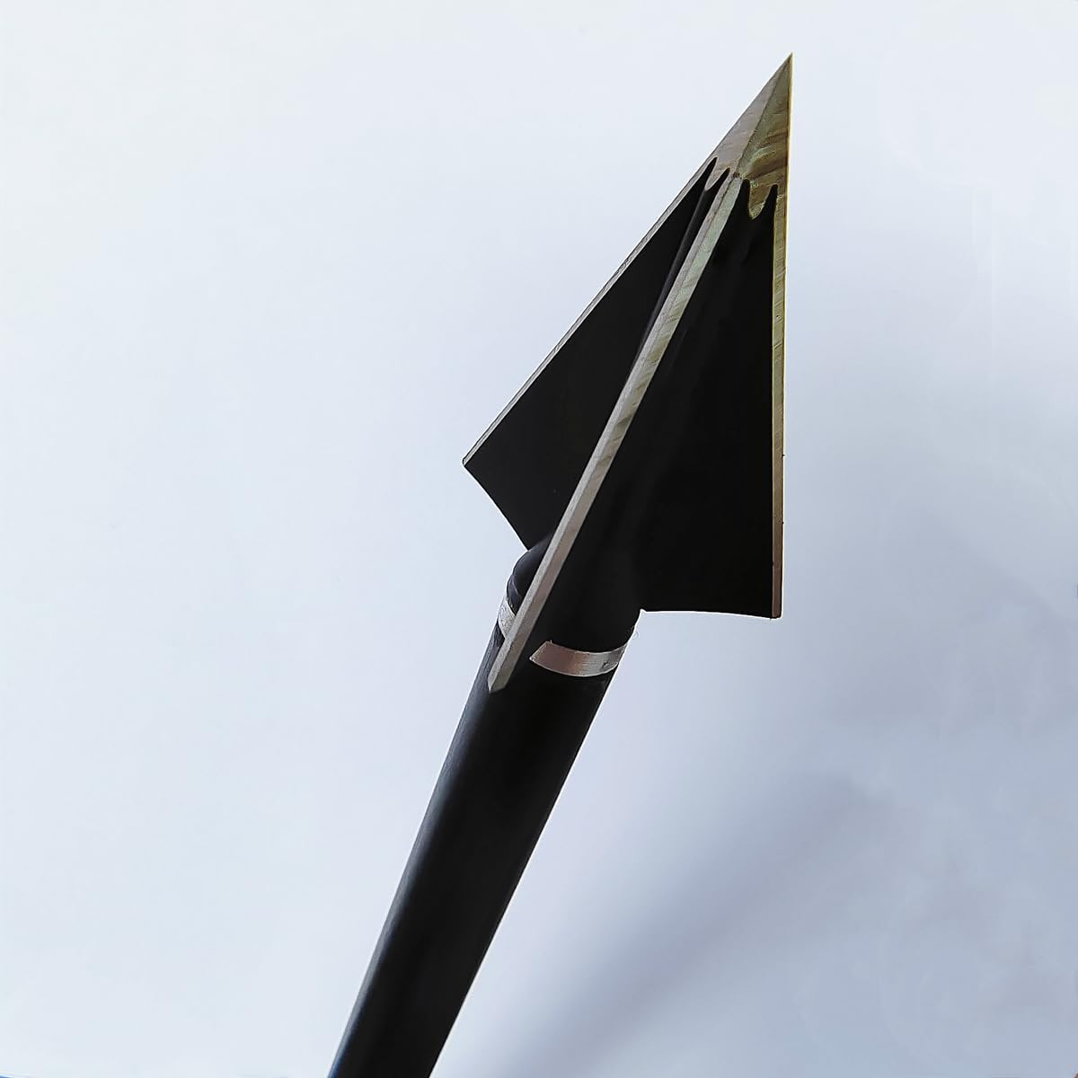 Hunting Broadheads 100 Grains Screw-in Arrow Archery 3 Blades Hunting Heads Arrow Tips Compatible with Crossbow and Compound Bow + Broadhead Storage Case