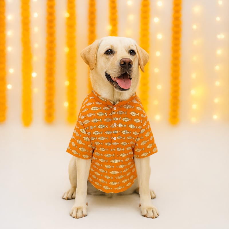Image of Thunder Tails Soft Cotton Dog Kurta for Small Dogs & Puppies | Comfortable Stylish Outfit for Shitzu, & French Bulldog | Pet Apparel for Casual, Party (Orange, X-Large)