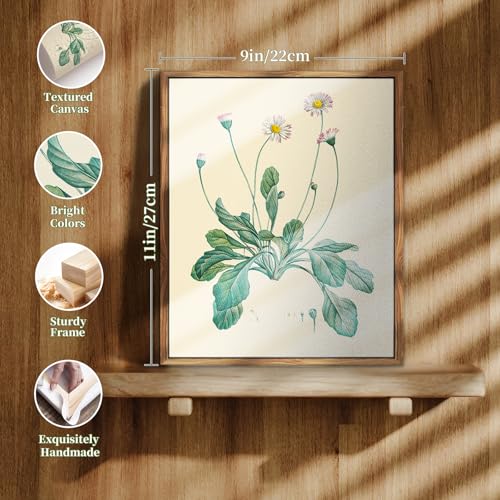 crmotu Botanical Framed Wall Art, Daisy Vintage Decor Pictures, Minimalist Floral Canvas Prints, Still Life Flower Nature Wall Decor, Bathroom Bedroom Above Bed Kitchen Rustic Home Decor, 9x11 inch