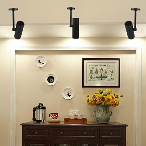 12W COB LED Wall Sconces/Ceiling Picture Spot Project Focus Lamp Fixture Light Black Finish Warm White