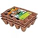 Produktbild ROMBERG 71005 Anzuchttöpfe 5 cm quadratisch 36 Stück