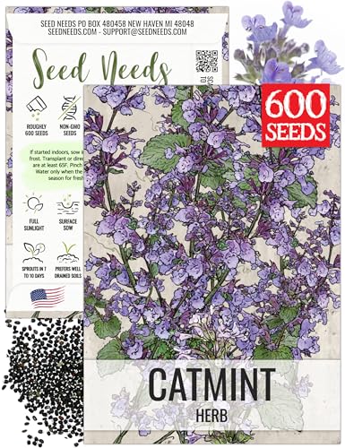 Seed Needs Catmint Seeds for Planting an Indoor/Outdoor Herb Garden