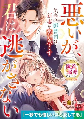 気高き御曹司は新妻を愛し尽くす~悪いが、君は逃がさない~【極上スパダリの執着溺愛シリーズ】【電子限定SS付き】 (ベリーズ文庫)