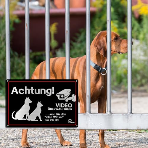 ZIENZENGYA 30x20cm Freilaufender Hund Videoüberwacht Metall Aluminium, Videoüberwachung Schild Hund Alu mit Vorgebohrten Löchern, Achtung Schilder Lustig und für den Toten Winkel Bin Ich Da