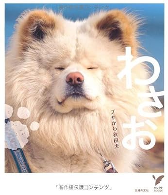 ブサかわ秋田犬 わさお