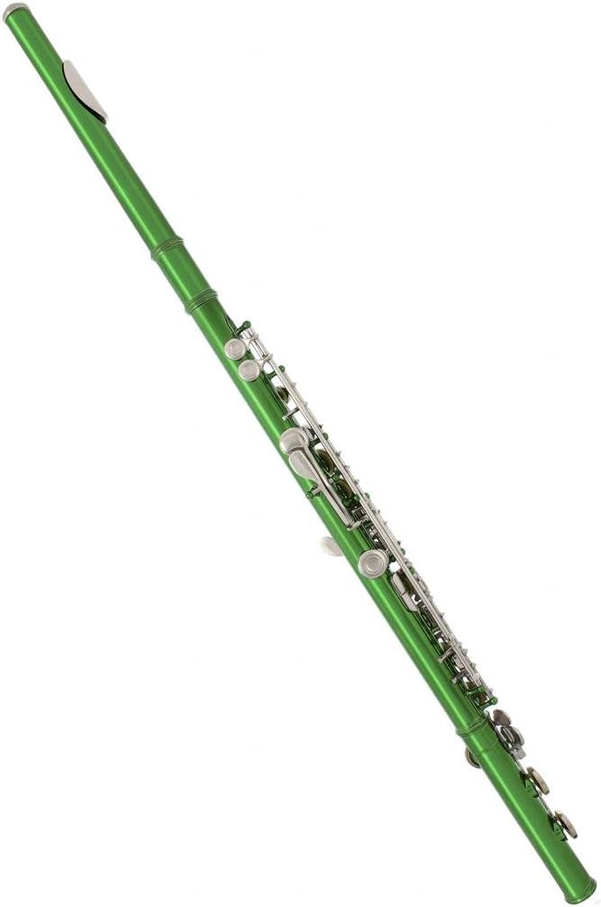 Lazarro Professional Green-Silver Closed Hole C Flute for Band, Orchestra, with Case, Care Kit and Warranty, 120-GR
