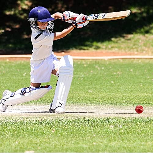 Soft & Safe Cricket Ball Rubber for Training, Coaching, Practice Excellent Bounce with Durable Traditional Seams Stitched deal for Indoor & Outdoor Skills Junior Kids Youth