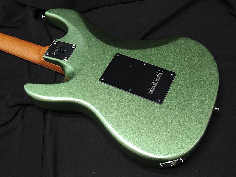 Amazon | Sire Larry Carlton S7 SG Sherwood Green サイアー
