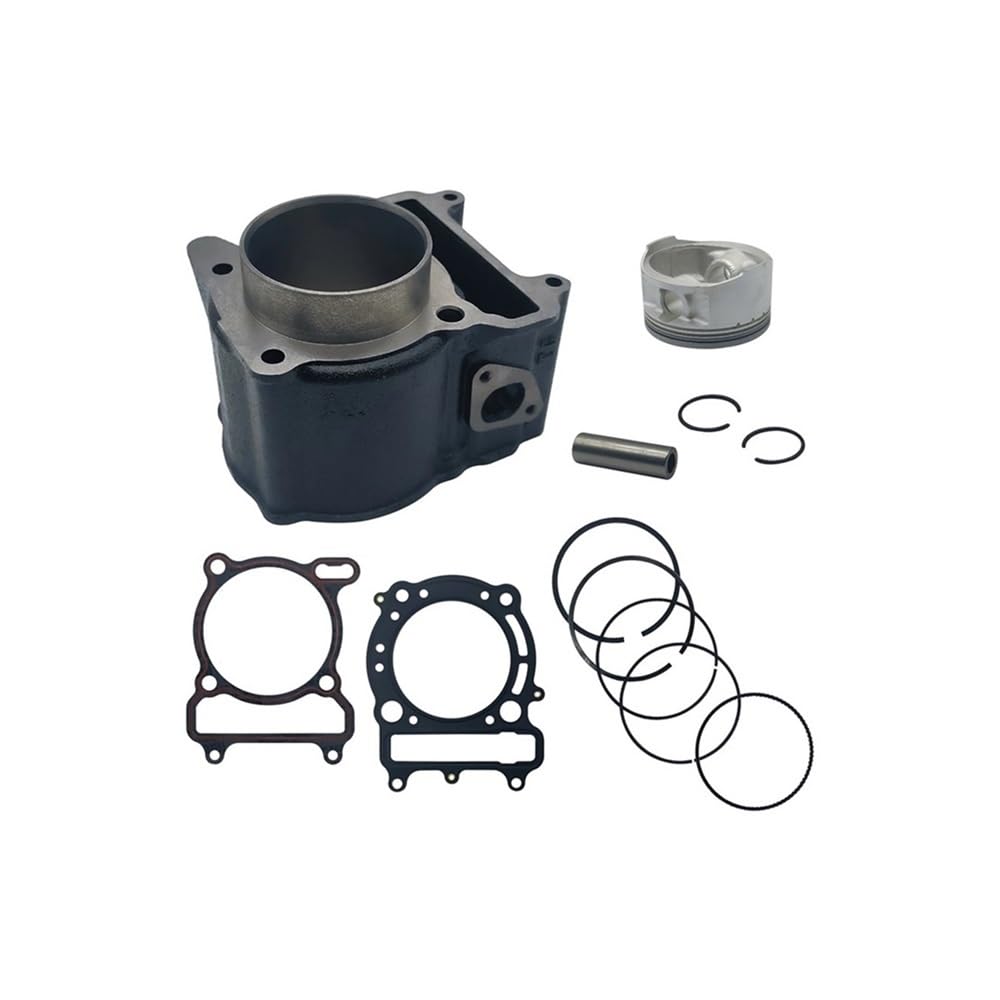 Kit cylindre 260 compatible avec 22420 pour l'entretien de vos outils de jardin