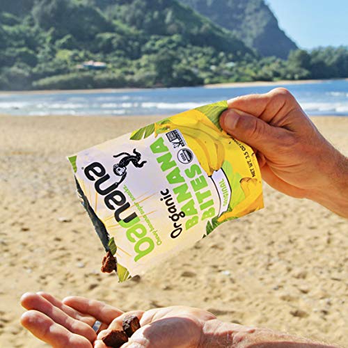 Barnana Organic Chewy Banana Bites, Original, 3.5 Ounce (Pack Of 1) - Packaging May Vary #TOP4