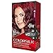 Revlon ColorSilk Beautiful Color, 48 Burgundy 1 ea (Pack of 6)