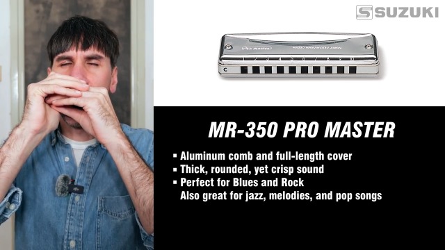 Amazon.com: Suzuki Mr-350 Promaster Deluxe 10-Hole Diatonic