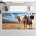 Camel Sky Desk Mat Non-Slip Laptop Writing Pad Large Keyboard Mousepad with Rubber Base 23.6