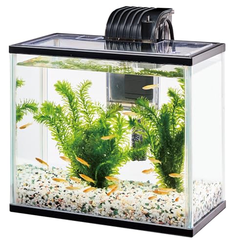 テトラ(Tetra) 金魚・メダカのらくらくアクア L の商品画像 4