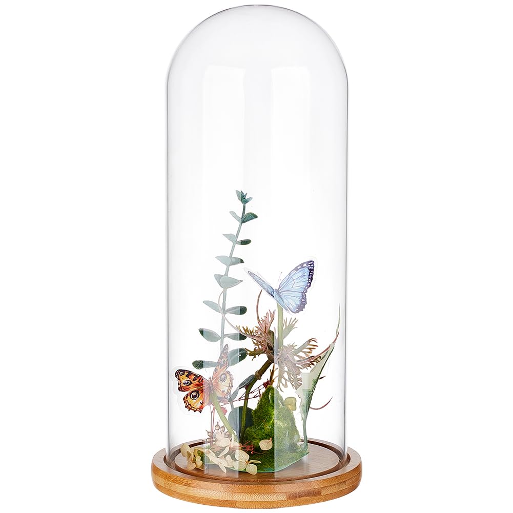 Photo 1 of BENECREAT Glass Display Dome with Wood Base