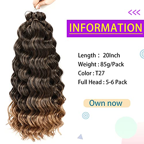 Ocean Wave Crochet Hair Deep Wave Crochet Hair For Black Women Ocean Wave Braids Hair Synthetic Crochet Braiding Hair Extensions 6 Packs (20 Inch (Pack Of 6), T27) #TOP1
