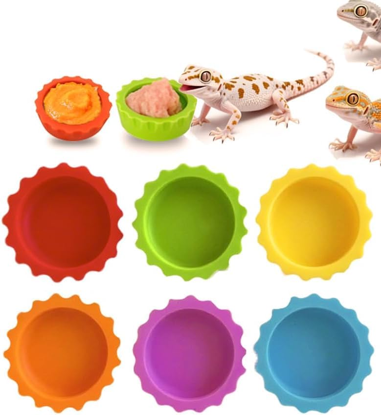 6 Pcs Crested Gecko Food Water Cups Reptile Food Dish Colorful Water Bowl for Bearded Dragon Aquarium Accessories for Turtles Crabs Small Animals-Xian