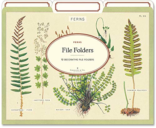 Fern File Folders