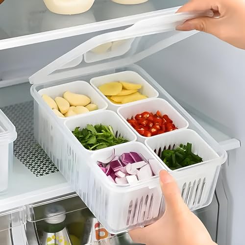 6 Grid Fridge Storage Box with Airtight Lids, Space Saving Fridge...
