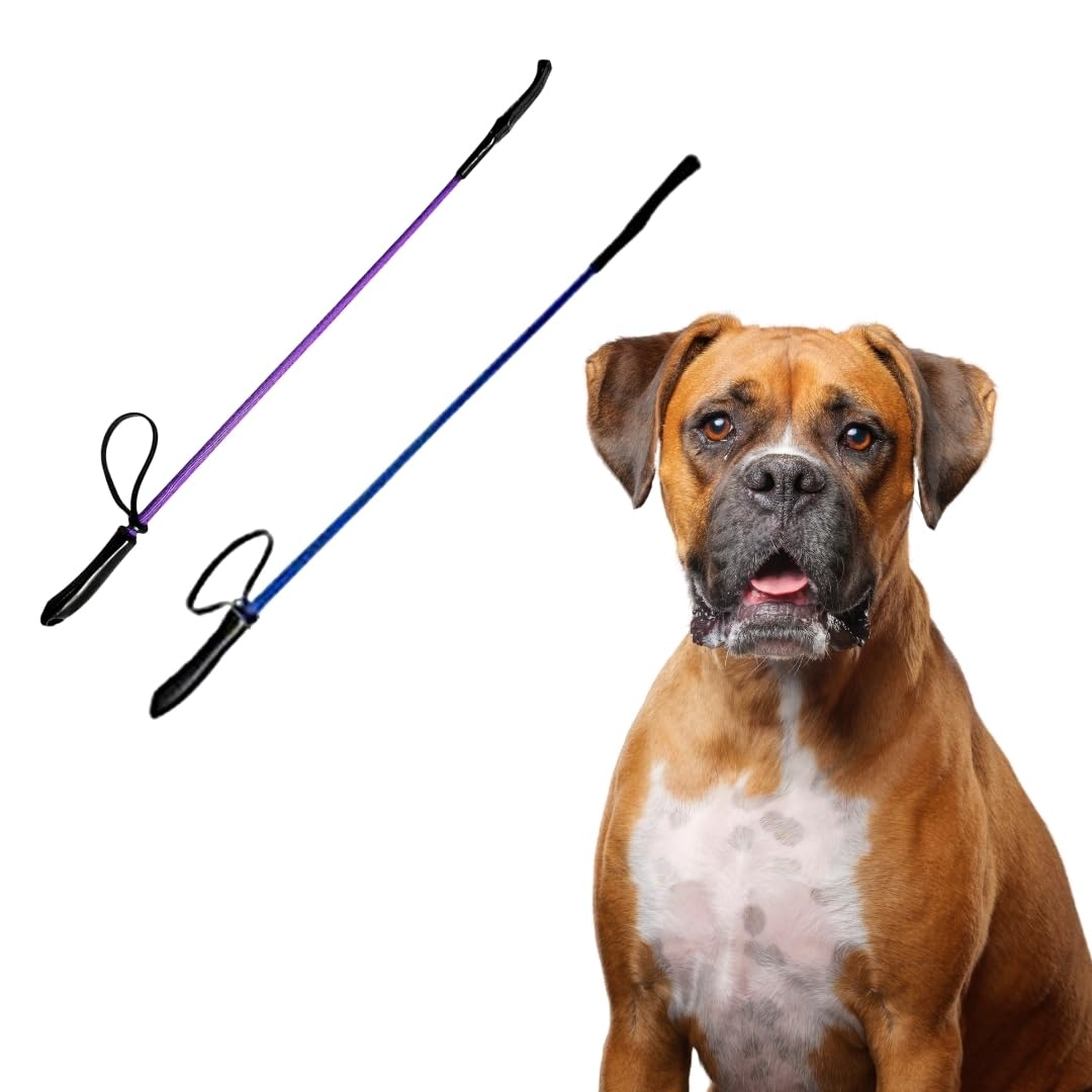 Toy Truffle Dog Walking Stick - Elevate Your Pups Strolls with Style and Comfort, The Multi-Tasking Stick for Safe & Enjoyable Walks, Durable Protection & Control for Anxious or Reactive Pets (B0CWH29TKJ) Amazon Price History, Amazon Price Tracker