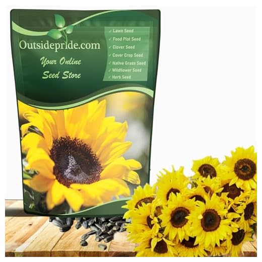 Dwarf Sunspot Sunflower Seeds, 5 Lbs