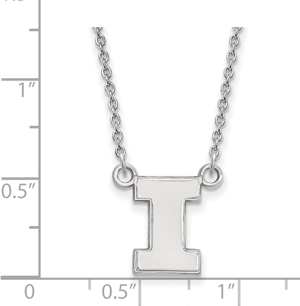 Uiuc innovation llc orientation image