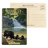 Rangeley, Maine, Painterly, Little Falls, Black Bear and Cubs (4x6 Birch Wood Postcards, 2-Pack Stationary, Rustic Home Wall Decor)