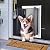 HANIML Dog Door with Double Opening Panels Heavy Duty Aluminum Doggy Door for Medium Large Dogs Weatherproof and Energy Efficient with Magnetic Pets Door for Exterior Door