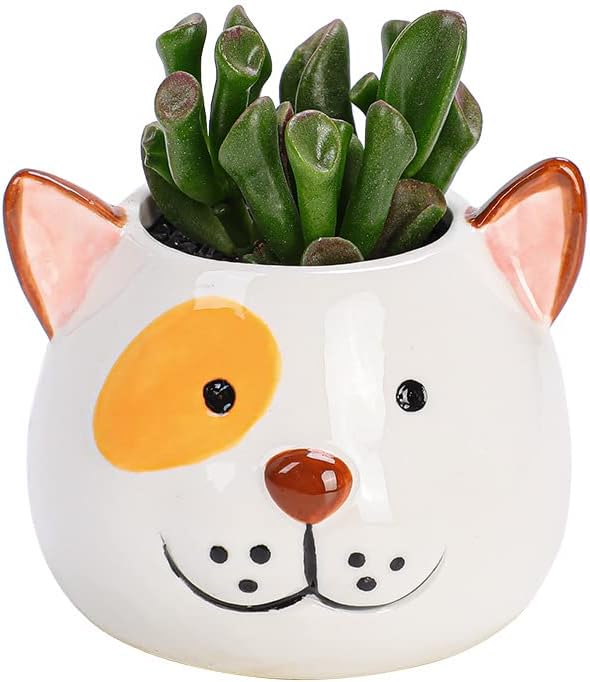 Miniatura 8 de Cuteforyou Macetas para suculentas, bonitas macetas de cerámica con forma de animal con bandeja de bambú, planta no incluida (perro)