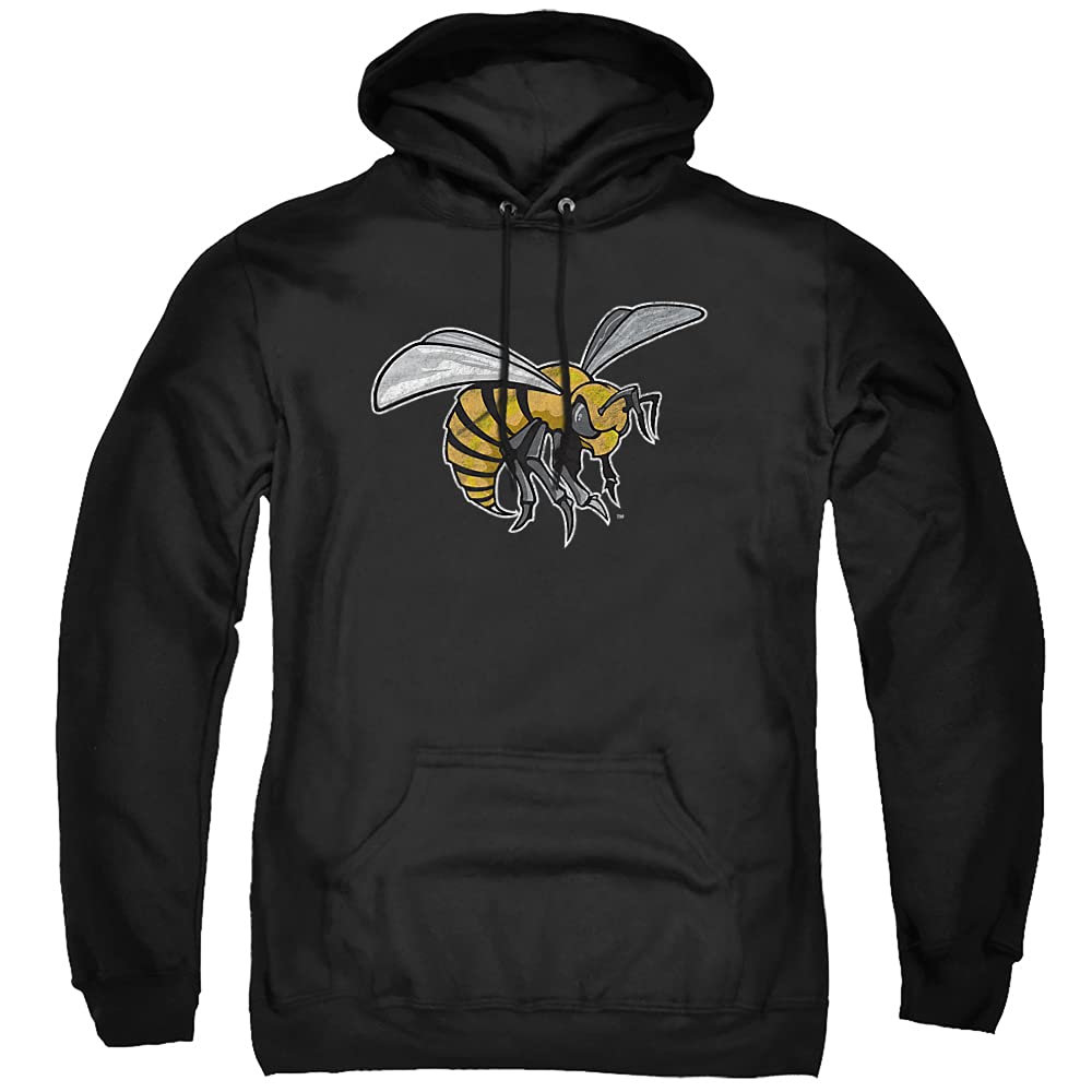 LOGOVISION Official Collegiate Distressed Primary Logo Adult Pullover Hoodie Collection — view 96