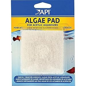 API Algen Pad für Acryl-Aquarien