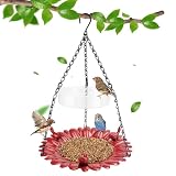 Erytlly Bird Feeder for Outdoors Hanging, Bird Bath and Feeder Combo for Attracting Wild Birds, Bird
