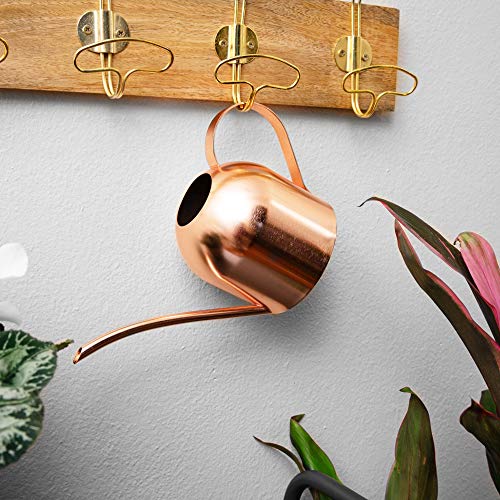 Homarden 30oz Metal Indoor Outdoor Plant Watering Can for House Plants (Copper Color)
