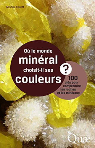 Où le monde minéral choisit-il ses couleurs ?: 100 clés pour comprendre roches et minéraux