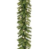 National Tree Company 9 ft Pre-Lit Norwood Fir Artificial Christmas Garland, Christmas Decoration with 50 Warm White LED Lights, 240 Tips, Timer, Green