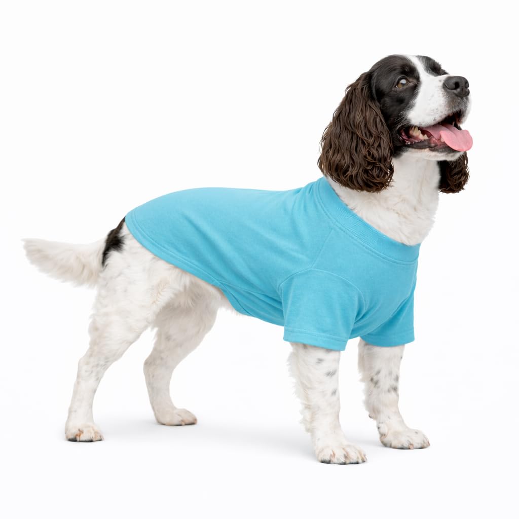 Vêtements pour animaux de compagnie pour balades et confort des grands chiens