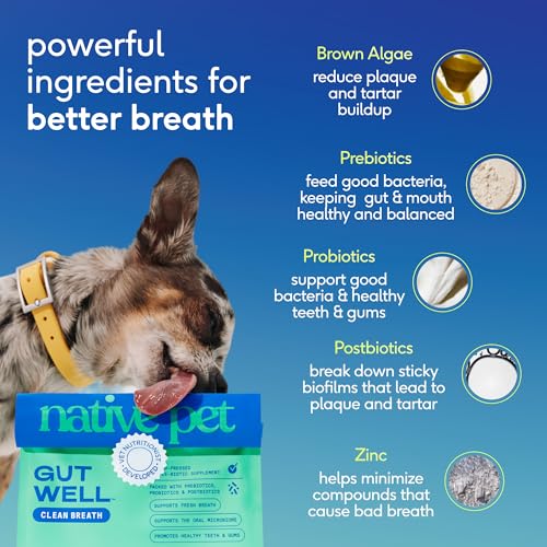 Image of Native Pet Clean Breath Dog Dental Care - Teeth Cleaning for Fresh Breath, Clean Teeth & Healthy Gums - Tartar and Plaque Remover - Dog Breath Freshener - 120 Scoops