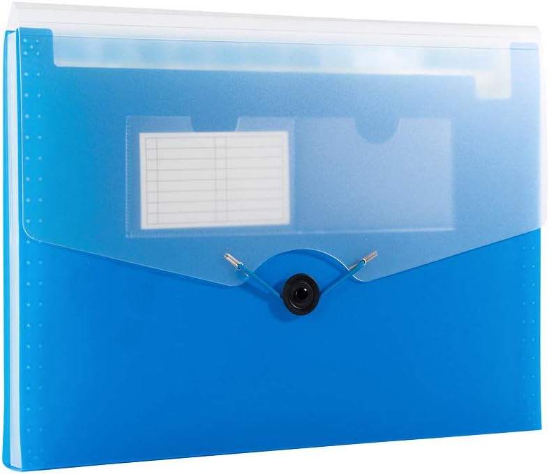 Green Oath Expanding File, 13 Pockets with 12 Tabs, Letter Size, Elastic Button Closure, Pack of 6 Assorted Colors (50255-4373)