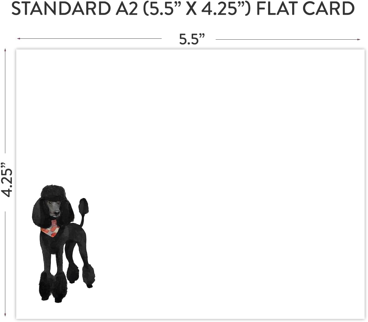 Koko Paper Co Poodle Blank Notecards | 25 Flat Cards + 25 White Envelopes (50 Count) | Made in the USA | A2 Size | Heavy Card Stock | Black Poodle Front | Red & Grey Argyle Back