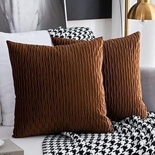 Cushion Covers Set of 2 Decorative Rectangular Square Pillow Case Velvet Modern Pillow Covers for Couch Bed Sofa Chair Bedroom Living Room