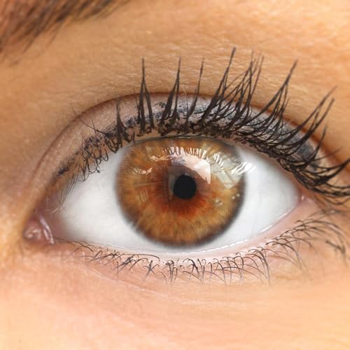 GLAMLENS lentilles de couleur marron naturelles colorées très haute opacité Avila Hazel + étuis à lentilles de contact I 1 paire (2 pièces) I 90 Jours I sans correction I 0,00 Dioptries