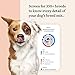 Wisdom Panel Premium Dog DNA Kit: Most Comprehensive with 265+ Health Tests, Identify 365+ Dog Breeds, 50+ Traits, Relatives, Ancestry, Genetic Diversity - Pack of 1