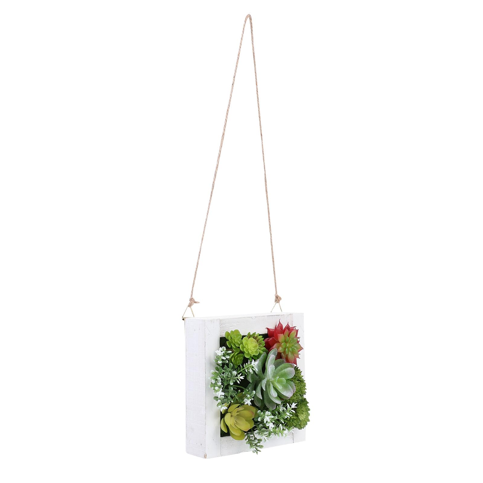 Cadre Suspendu avec Plantes Succulentes Artificielles en Plastique et Bois, Décoration Murale Intérieure Solide et Facile d'entretien pour Maison et Bureau
