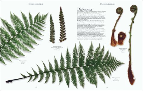 The Botanical Garden: Trees and Shrubs