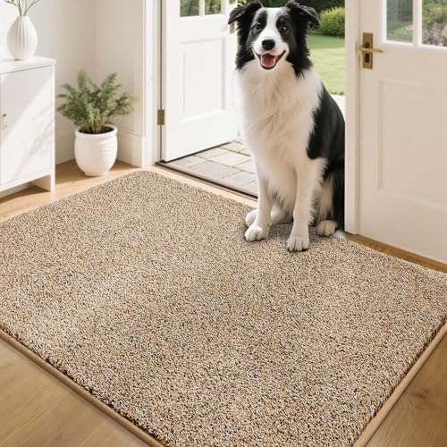 COSY HOMEER Fussmatte Innen 80 x 120cm, Weich Saugfähig und Schmutzabweisend Fußmatte rutschfest, Niedriges Profil Schmutzfangmatte Maschinenwaschba