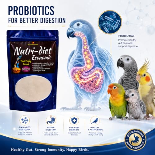 Image of Pet Care International (PCI) Economic Nutri-Diet Hand Feeding Formula || Healthy Baby Bird with All Essential Nutrients (250grm)