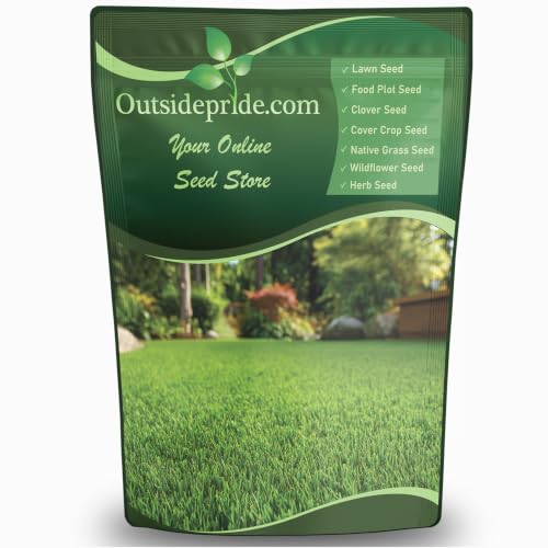Outsidepride Oasis Bermuda Grass Seed &ndash; 5 lb Heat‑Resistant Fast‑Growing