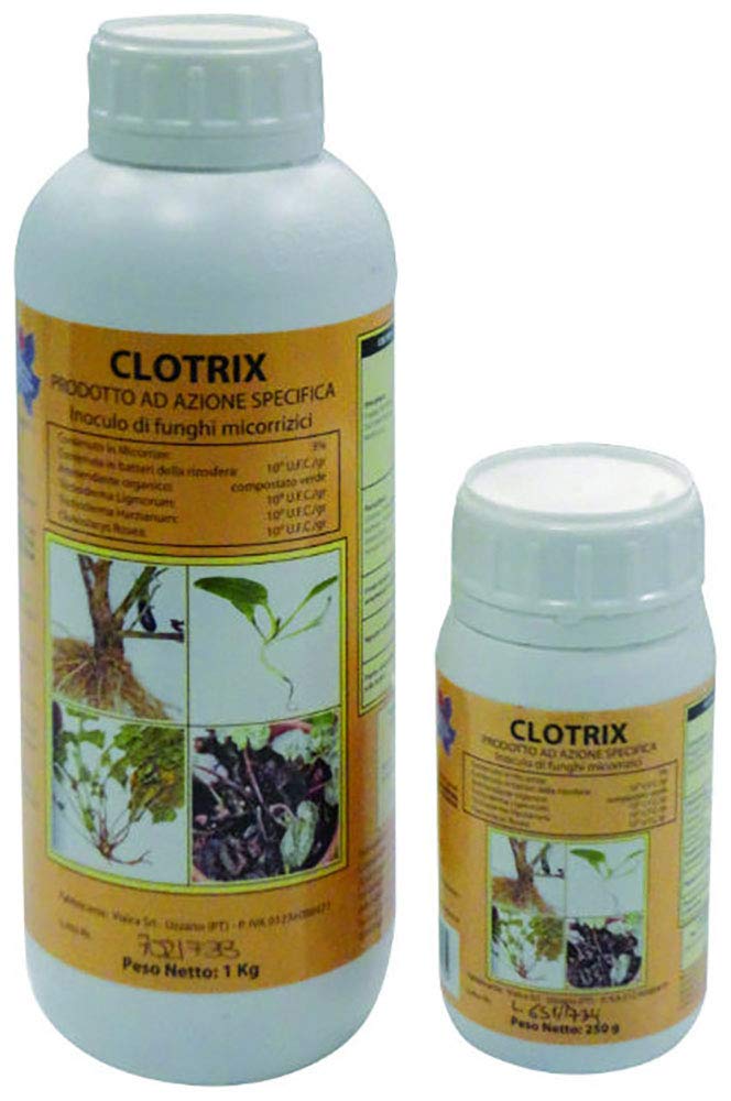 FUNGICIDA BIOLOGICO CLOTRIX PREVIENE E CONTRASTA LE MALATTIE FUNGINE CONSENTITO IN AGRICOLTURA BIOLOGICA (1LT)