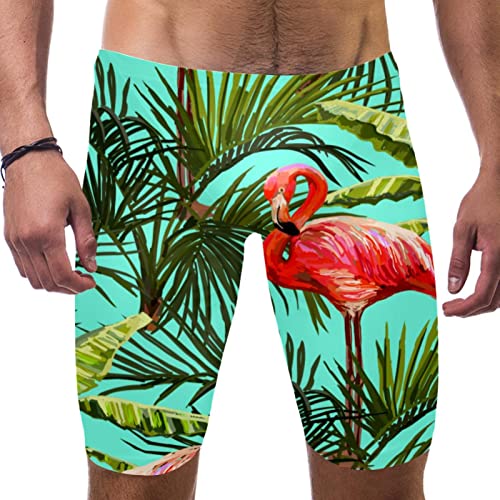 Bañador de hombre con flamencos Sago Cycas para vacaciones tropicales