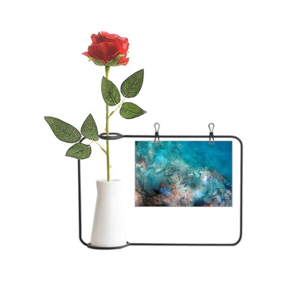 Vase de décoration ocean en verre avec sa rose artificielle